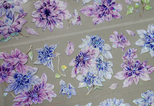 1850-SUNMORE Studio-6x100cm Shell Luster PET Tape