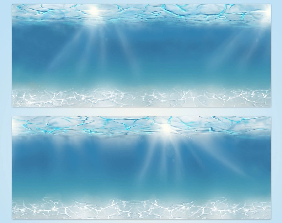 2457-Translucent PET Tape