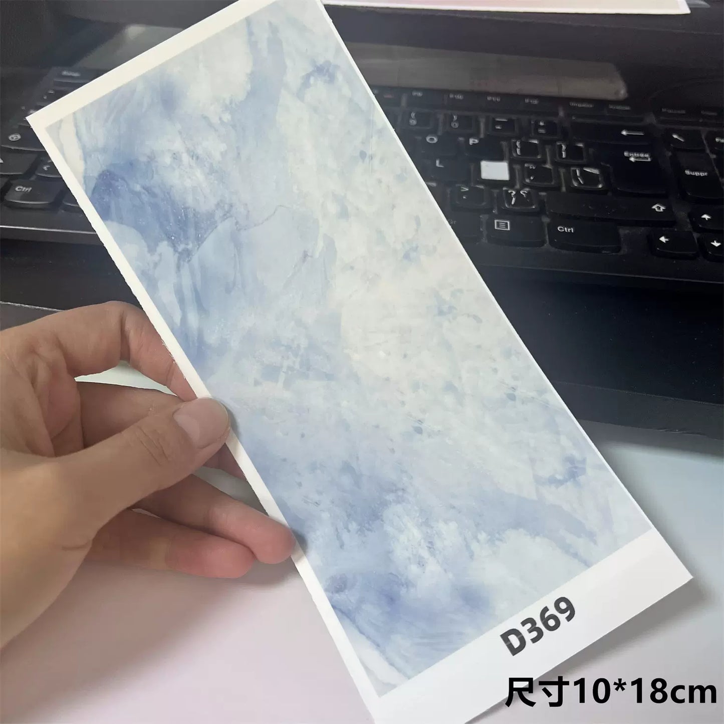 D369 Background Paper