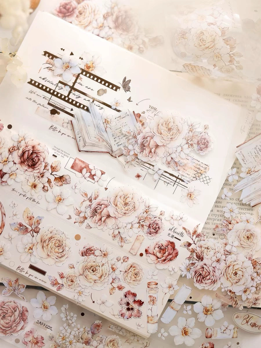 2447-XIAO BAI Studio-5x120cm Glossy PET Tape