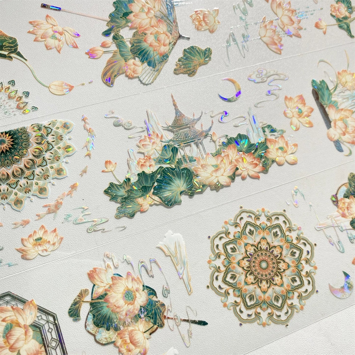 3221-FUGUI LEE Studio-6x100cm Shell Luster PET Tape